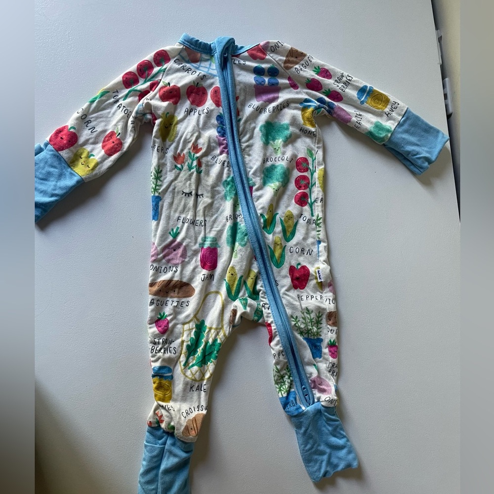 Little Sleepies Farmers Market Print Zippy
